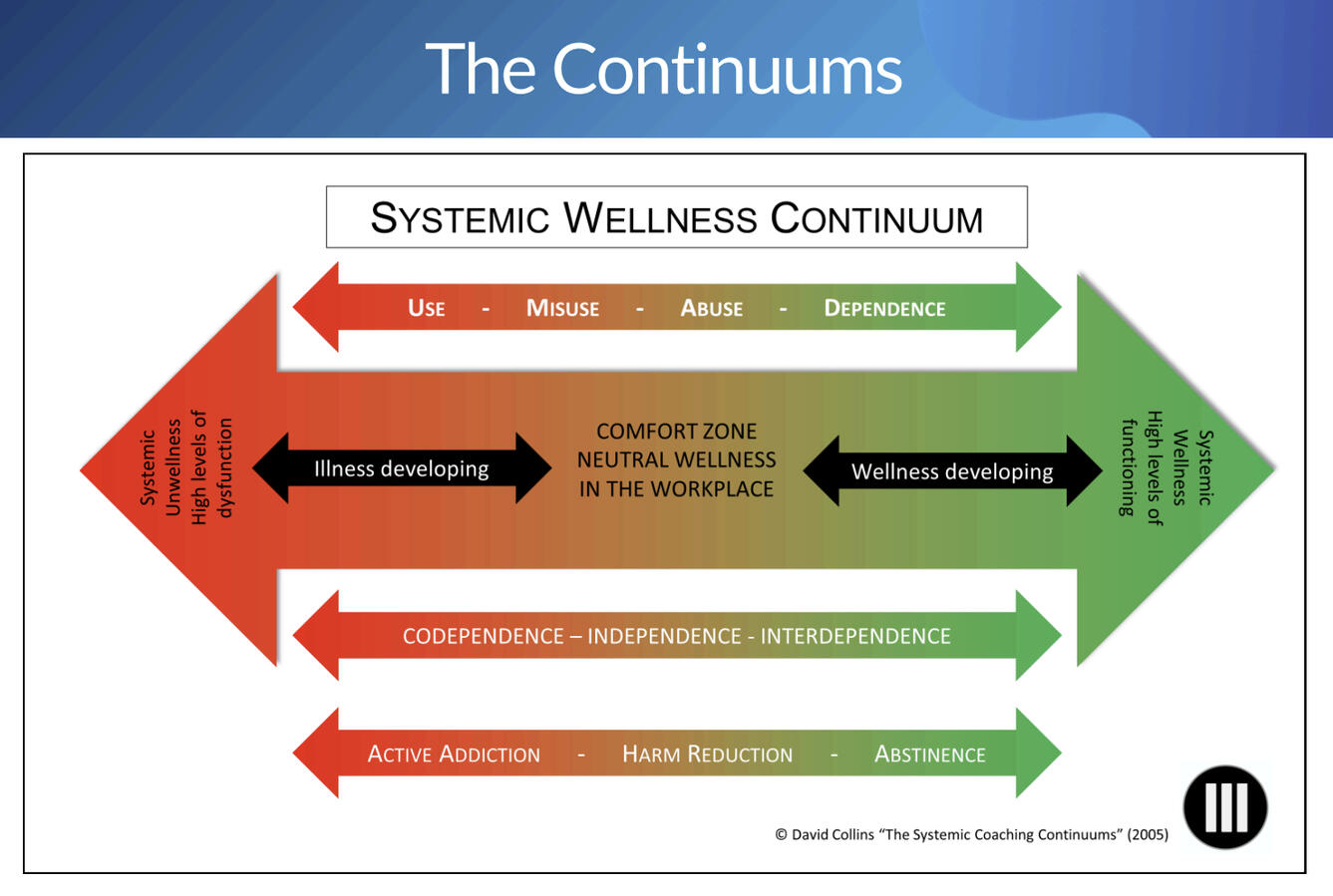 The Wellness Continuum