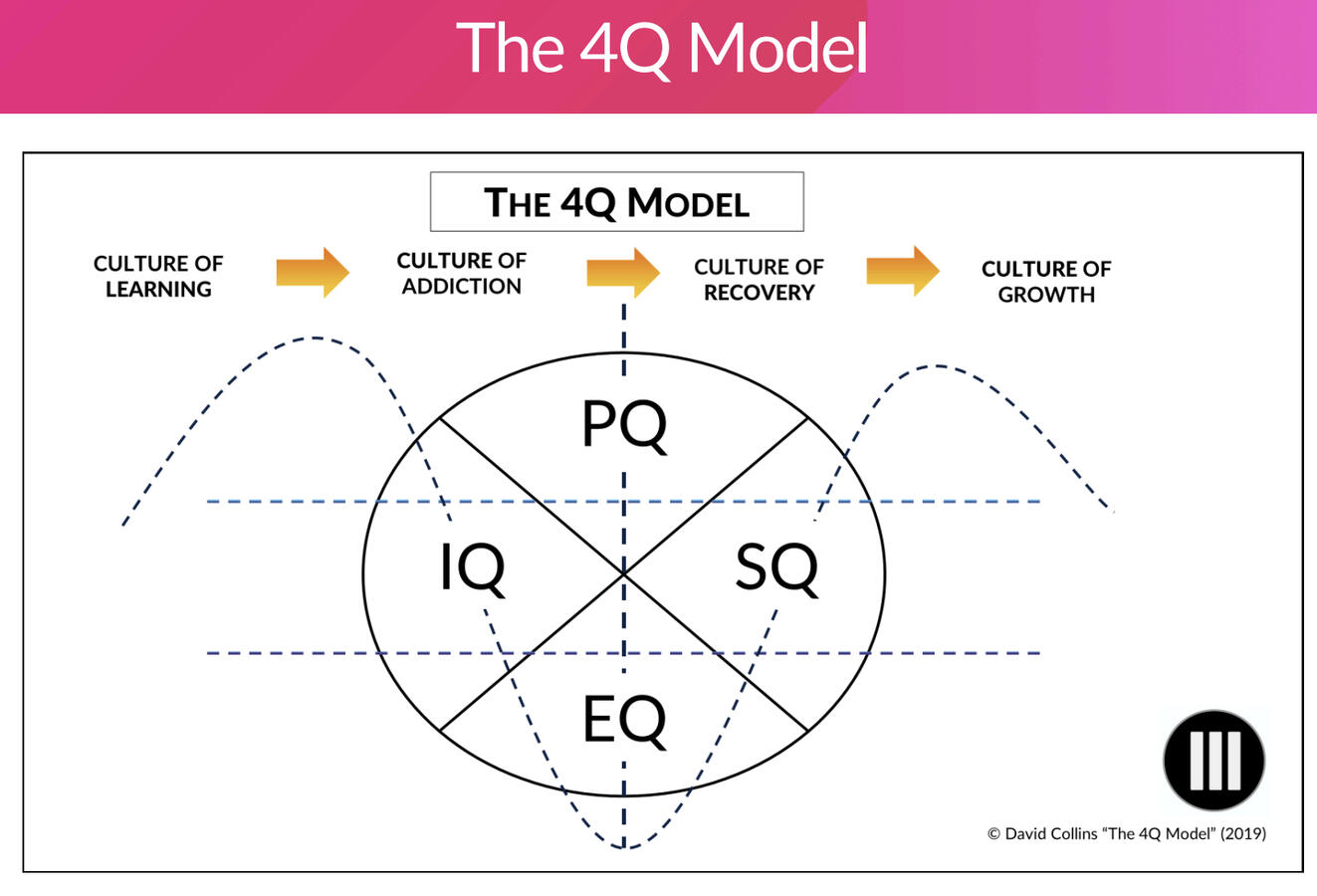 4 Q Leadership Model