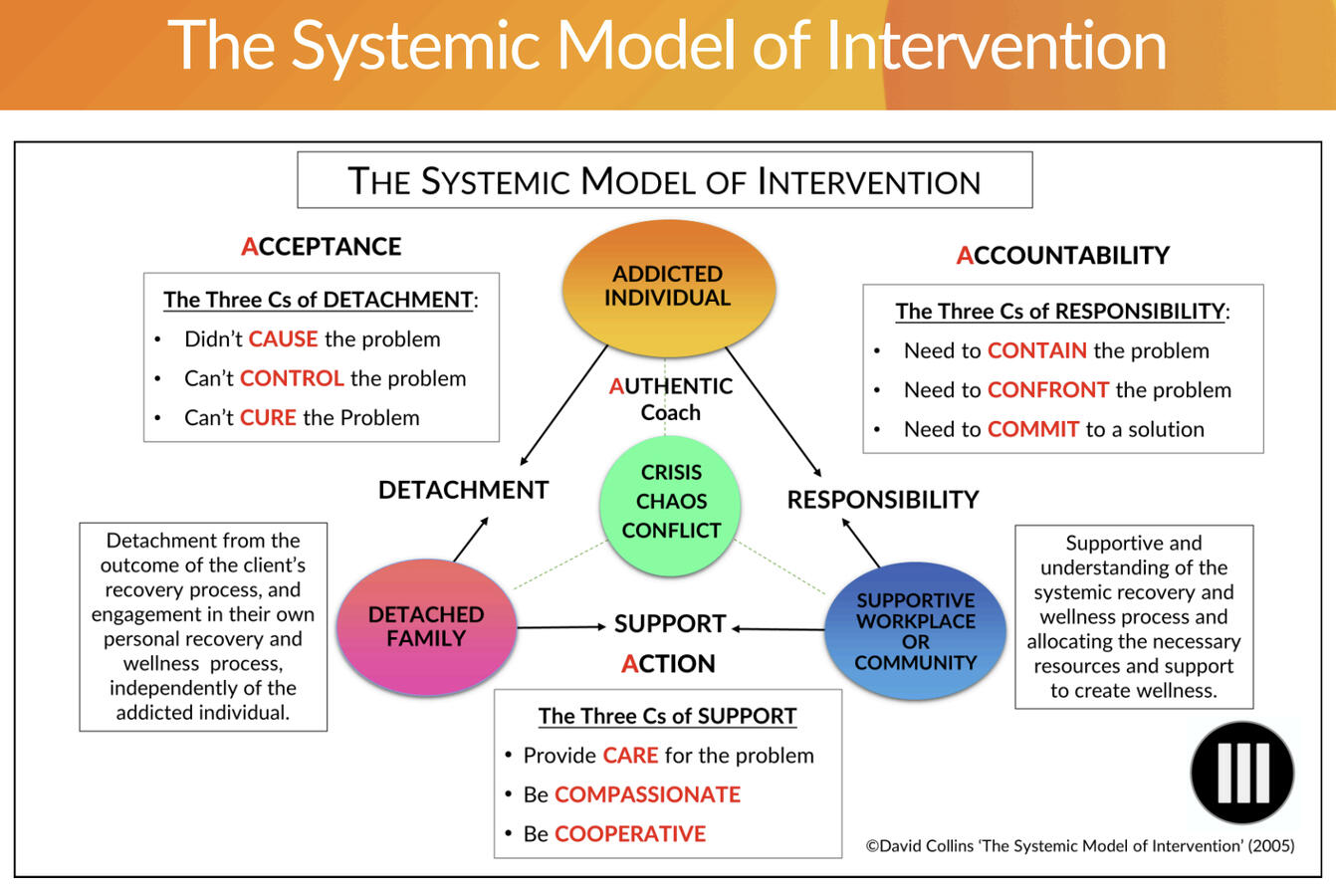Systemic Intervention Model