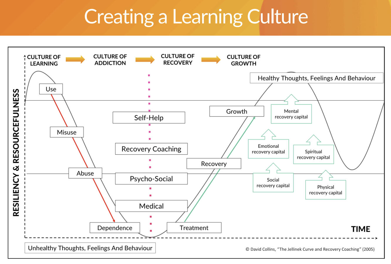 Creating a Learning Culture