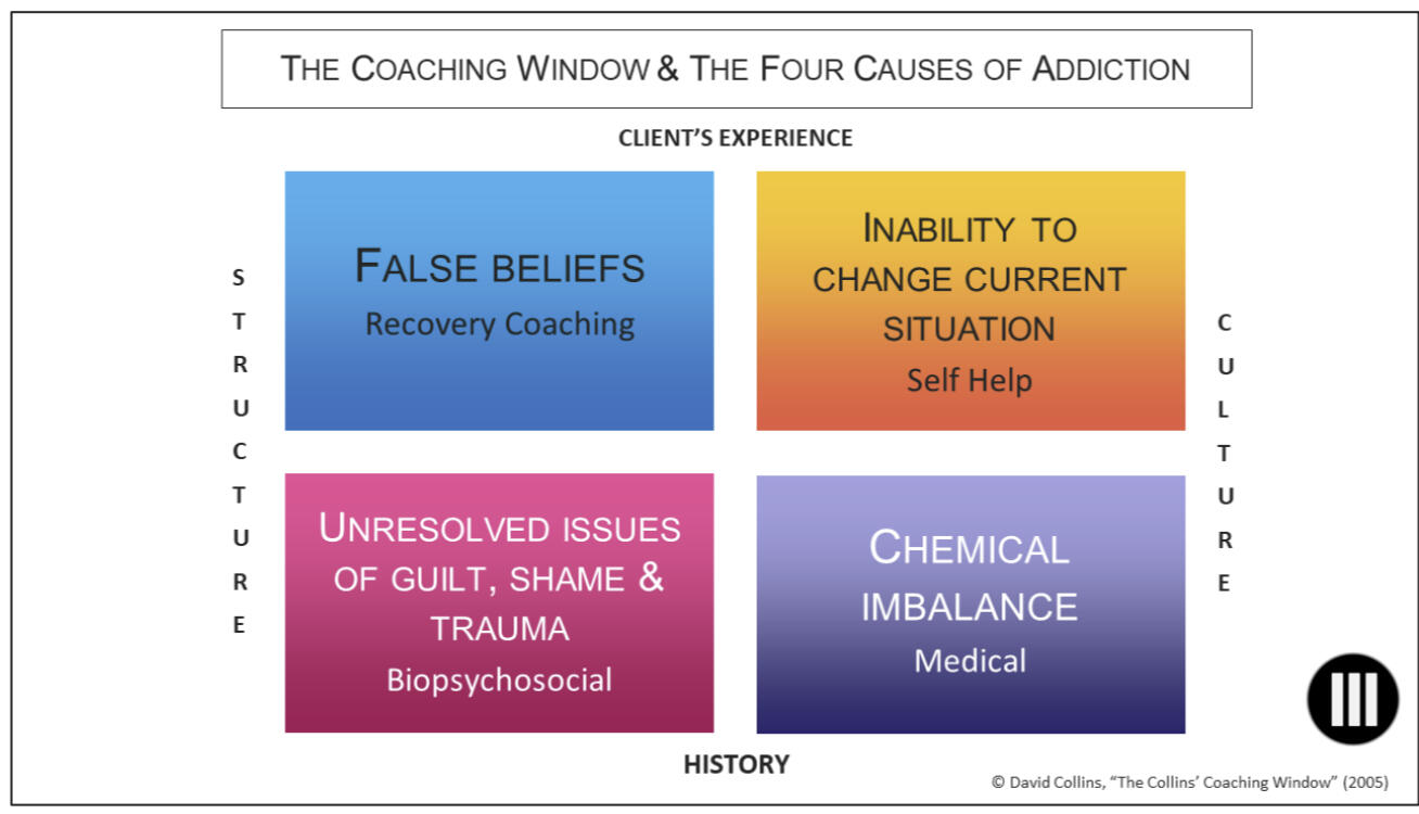 The 4 Causes of Addiction