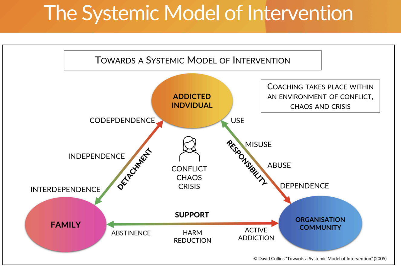 The Systemic Intervention Model part 2